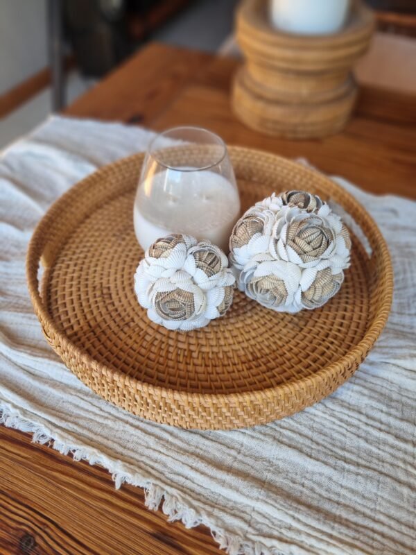 20250430_135536 BANDEJA RATTAN 35CM