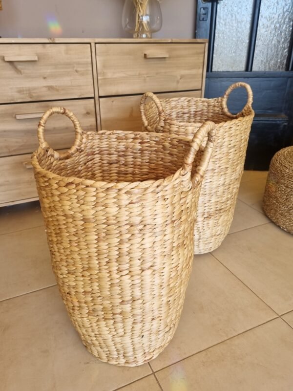 20250823_133936 (1) BASKET JACINTO