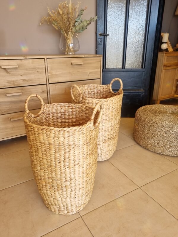 20250823_133940 (1) BASKET JACINTO