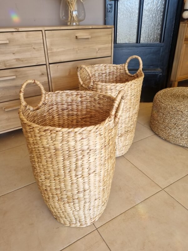 20250823_133943 (1) BASKET JACINTO