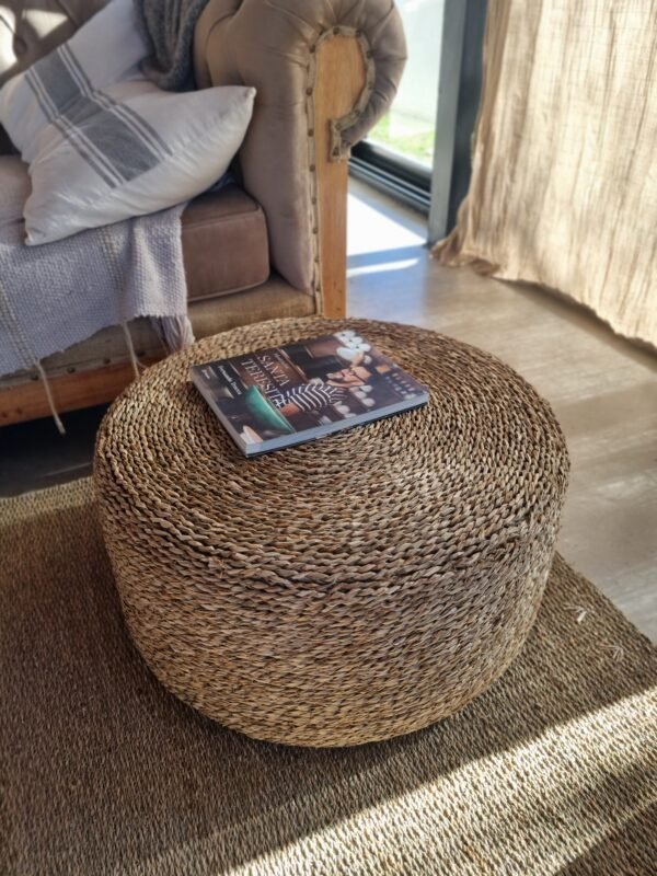 20250823_152816 (1) PUFF SEAGRASS 60cm