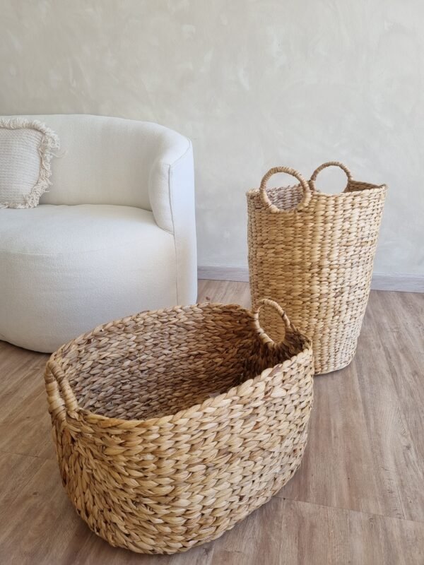 20250911_094521 CESTA BANANO XL