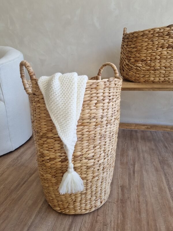 20250911_094744 BASKET JACINTO