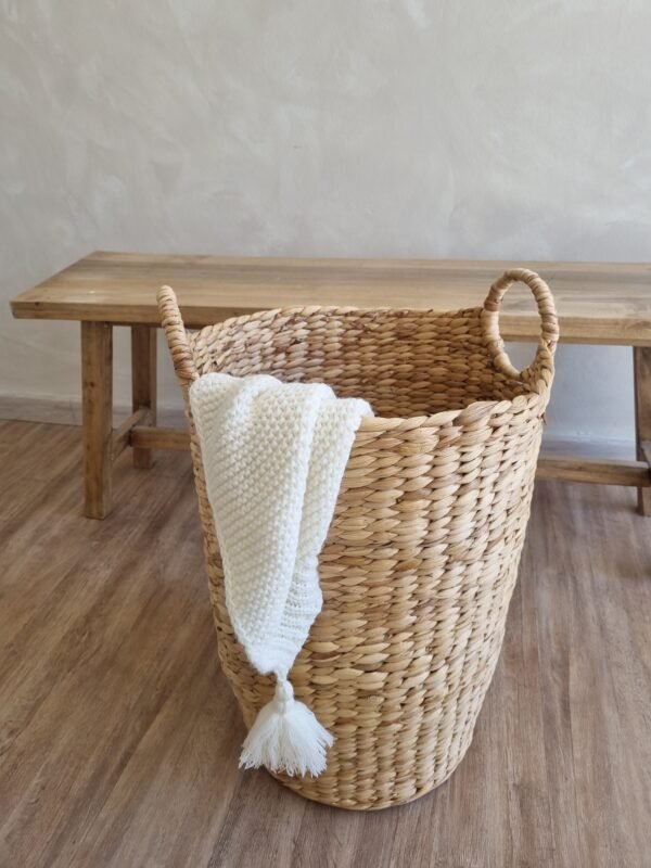 20250911_094853 BASKET JACINTO