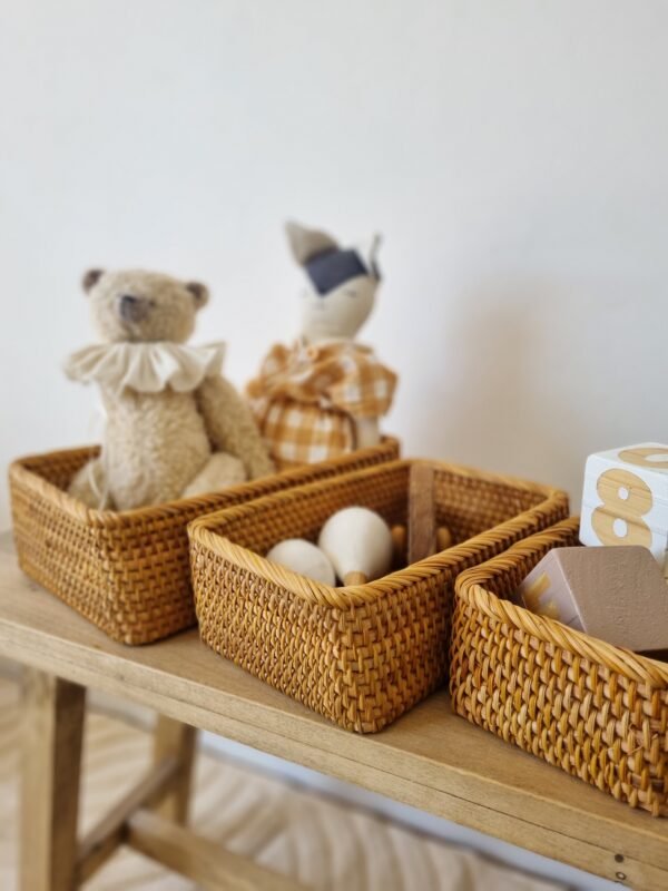 20250911_105035 Cajas de Rattan set x3